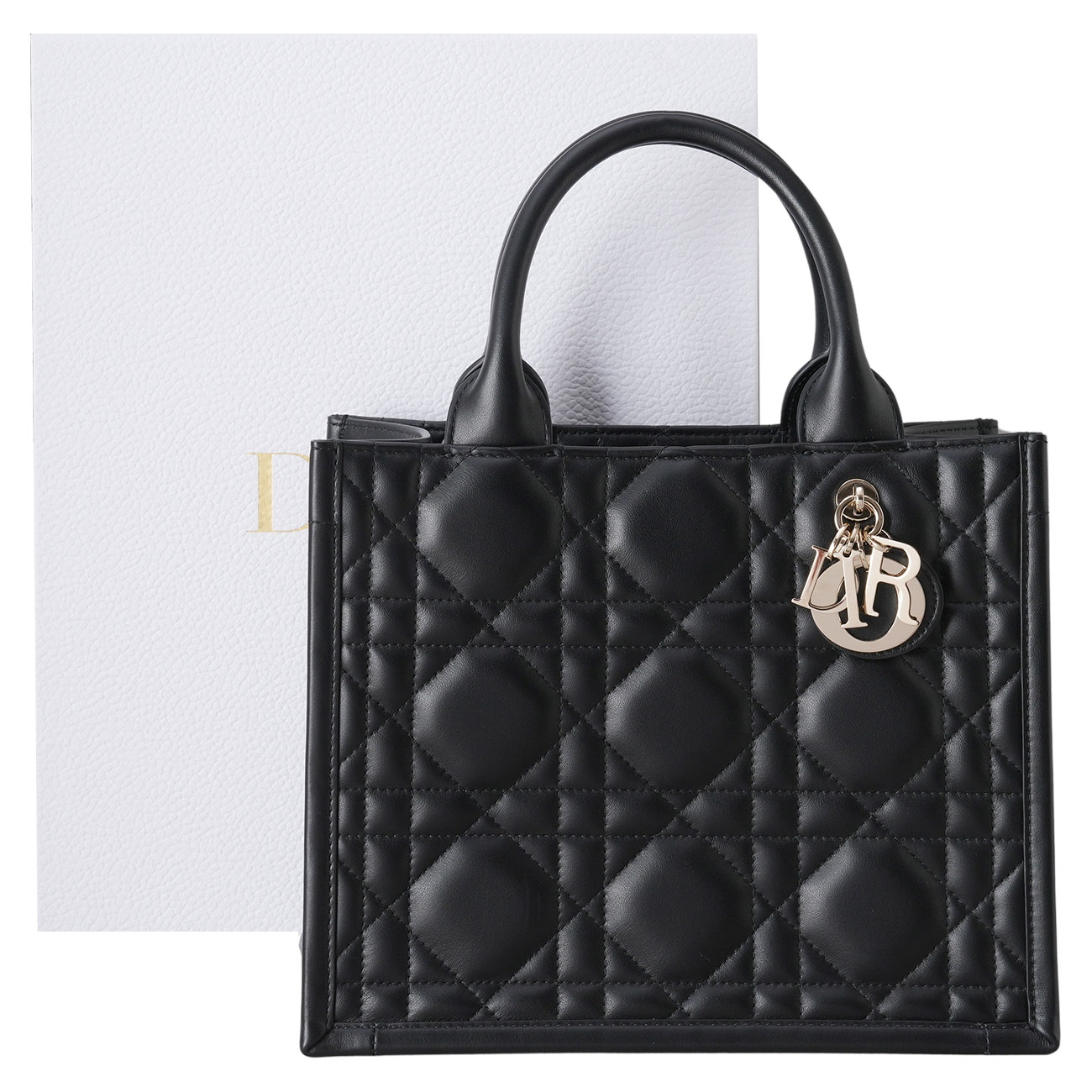 CHRISTIAN DIOR(USED)디올 북토트 스몰 매크로 까나쥬